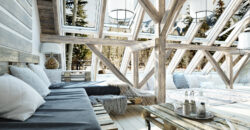 Bright fully renovated chalet