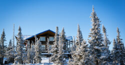 Bright fully renovated chalet